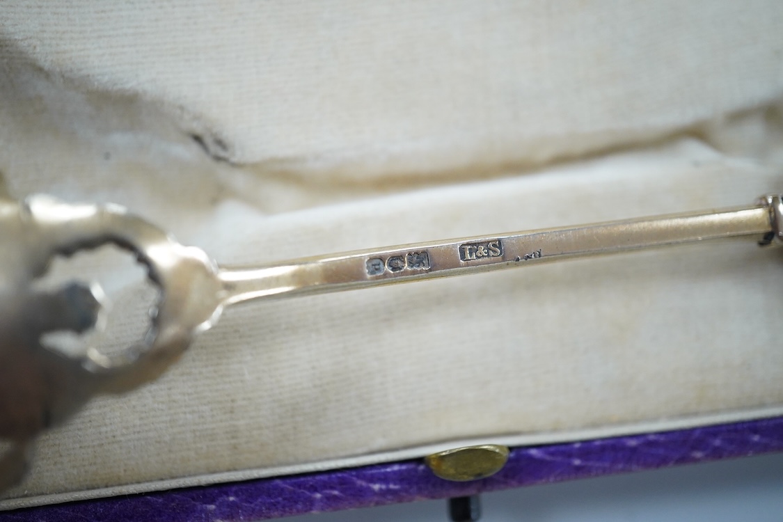 A cased silver gilt and polychrome enamelled spoon, the terminal modelled as the crest of the Worshipful Company of Joiners and Ceilers, to commemorate the Coronation of George V in 1911, Levi & Salaman, London, 1910, 17